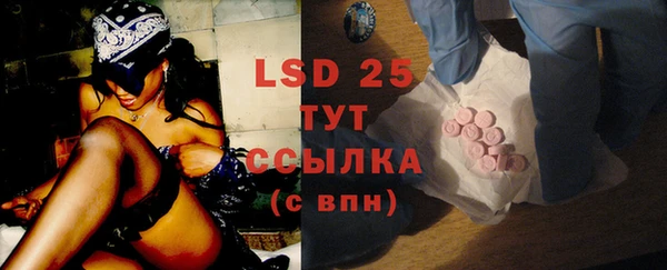 гашик Богданович