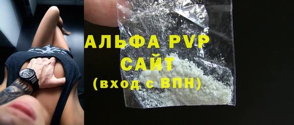 гашик Богданович