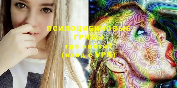 гашик Богданович