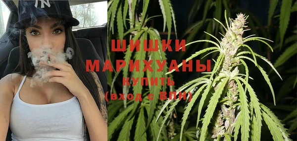 гашик Богданович