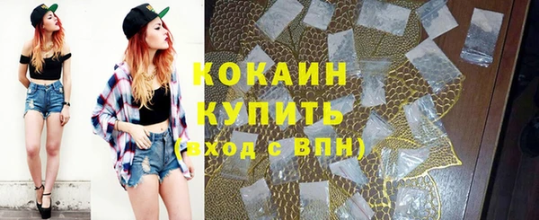 мескалин Богородицк
