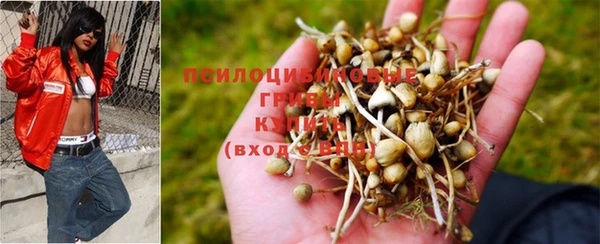 мескалин Богородицк
