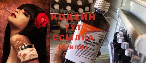 гашик Богданович