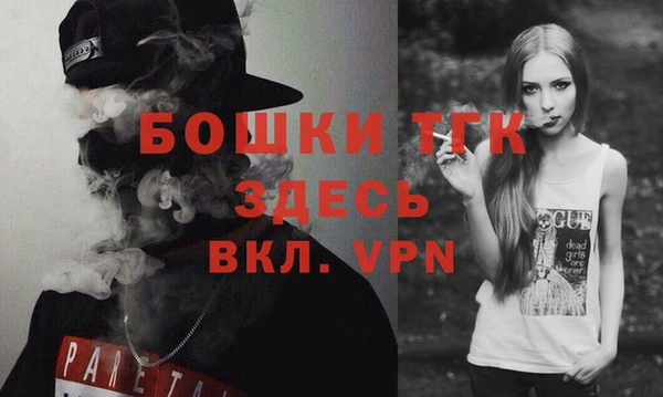 гашик Богданович