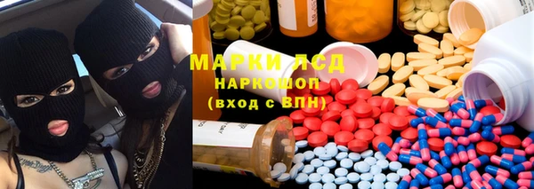 гашик Богданович